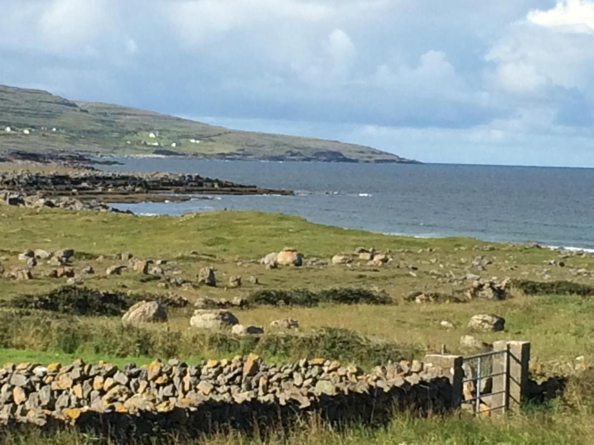Atlantic Garden Lodge Lisdoonvarna Zewnętrze zdjęcie
