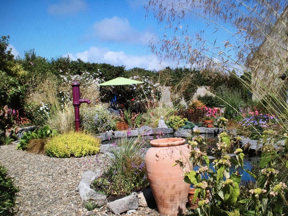 Atlantic Garden Lodge Lisdoonvarna Zewnętrze zdjęcie